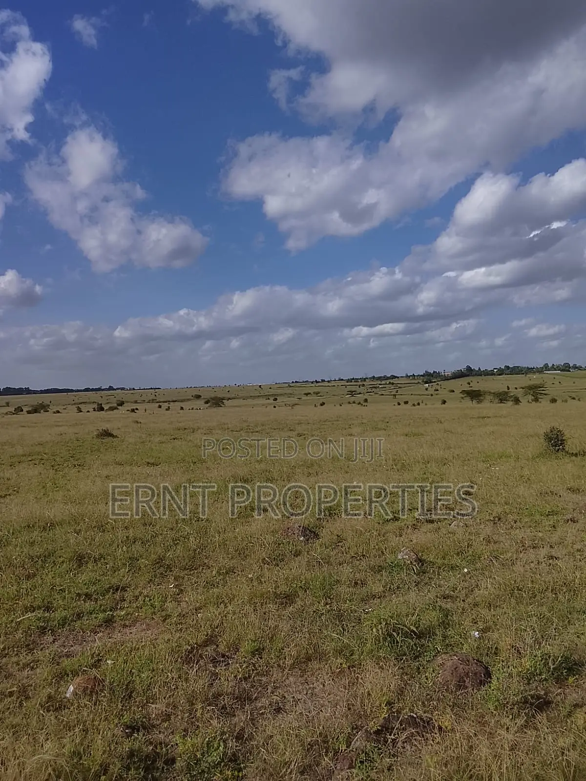 Quick Sale. Two Quarter Acre Plots Near Santoki at KSH