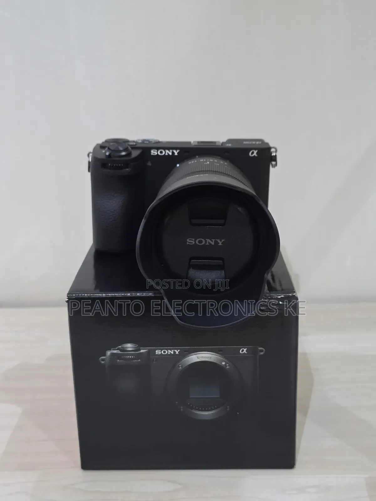 Sony A6700 Mirrorless Camera With 18-135mm Lens