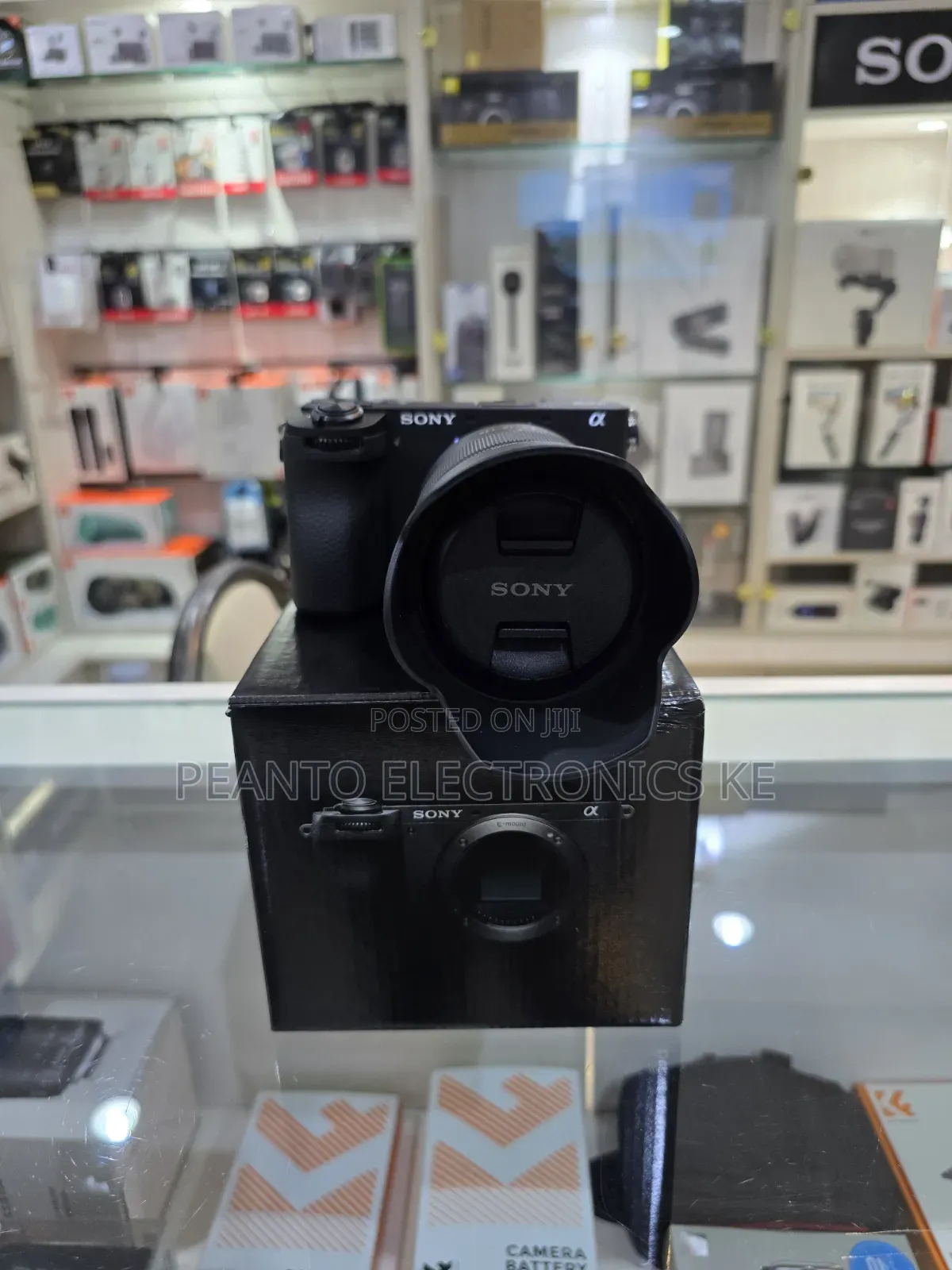 Sony A6700 Mirrorless Camera With 18-135mm Lens