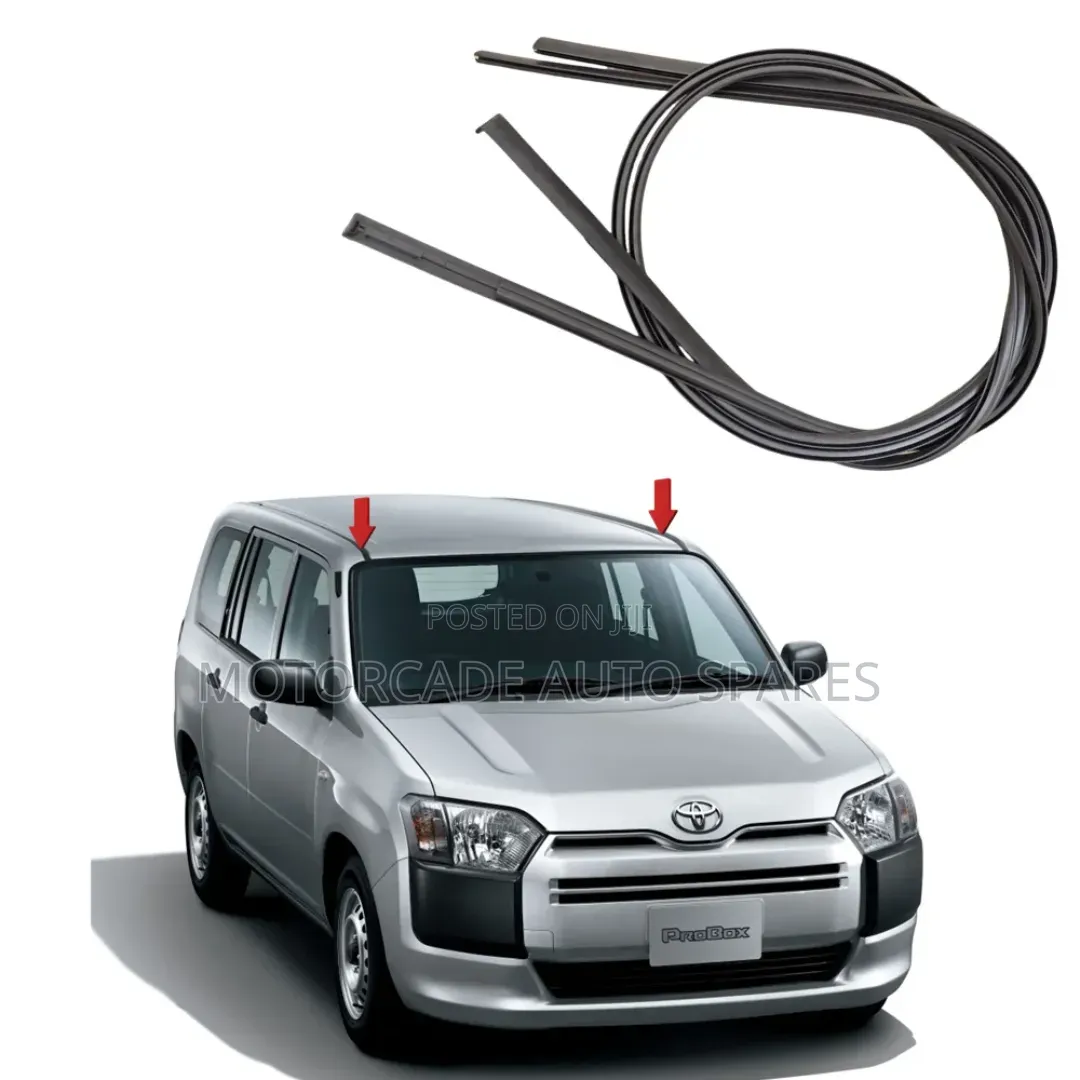 Toyota Probox/Succeed Roof Moulding