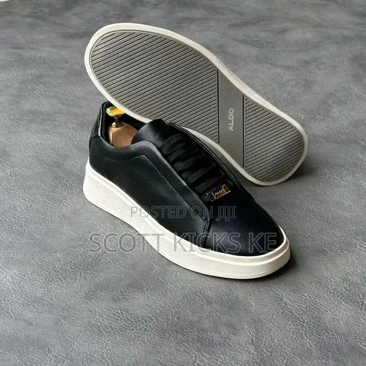 Aldo Authentic Leather Shoes for Men