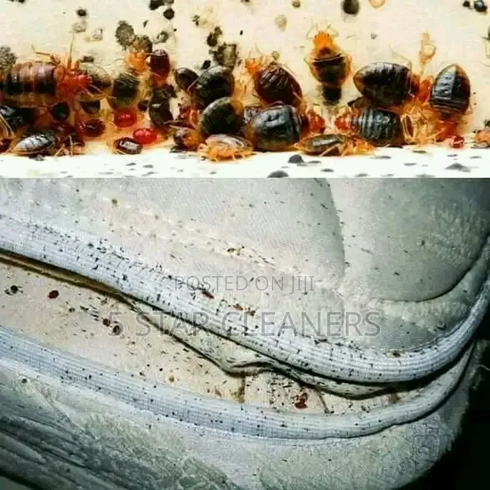 Nema Licensed Fumigation Services