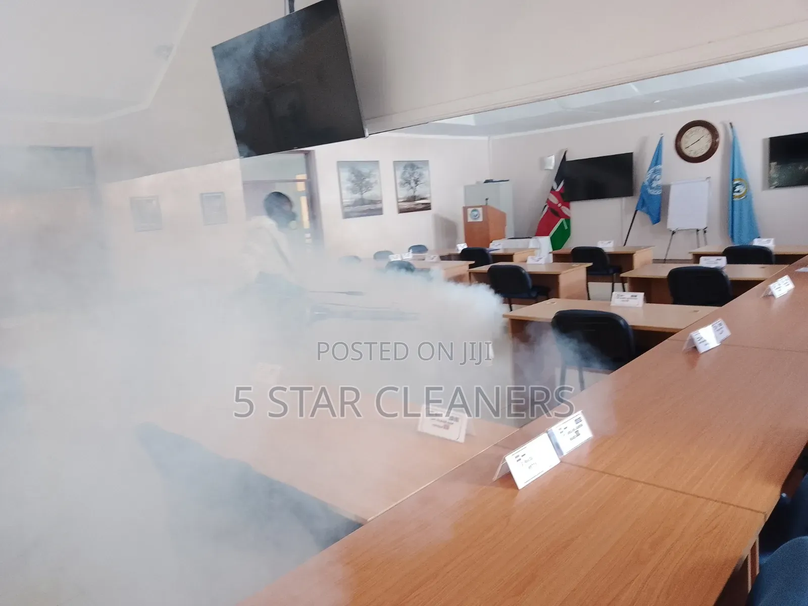No Smell Bedbugs Fumigation Services- Smoke Fumigation