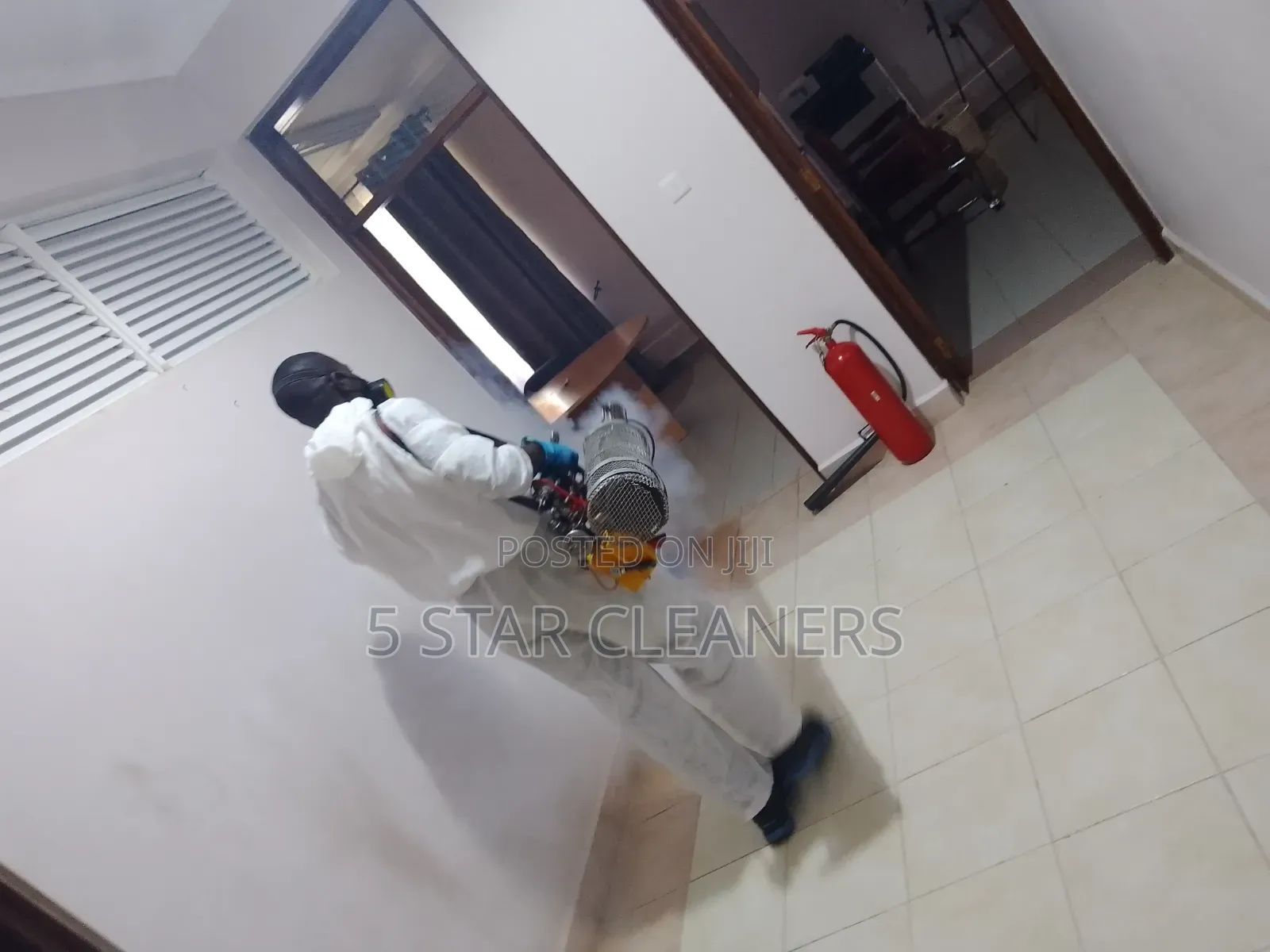 No Smell Bedbugs Fumigation Services- Smoke Fumigation