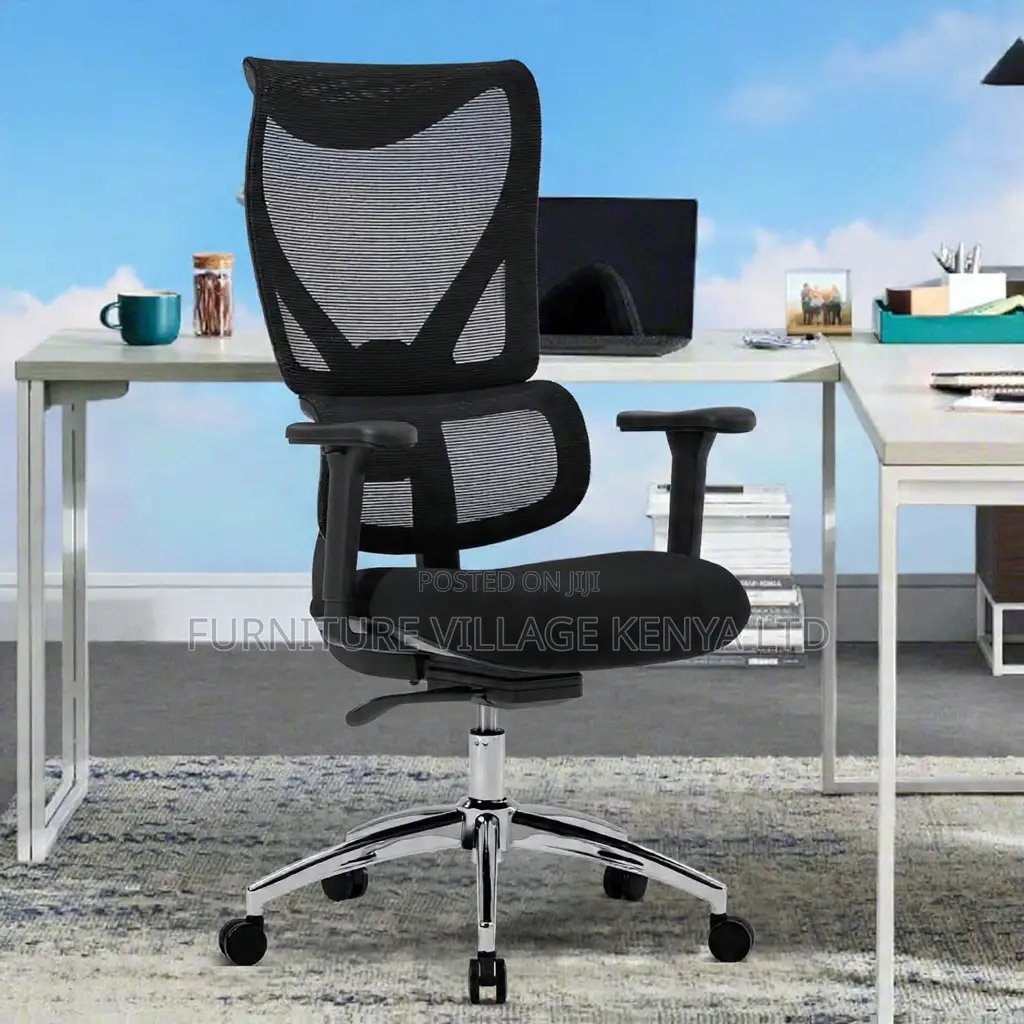 Office Ergonomic Orthopedic Chair.