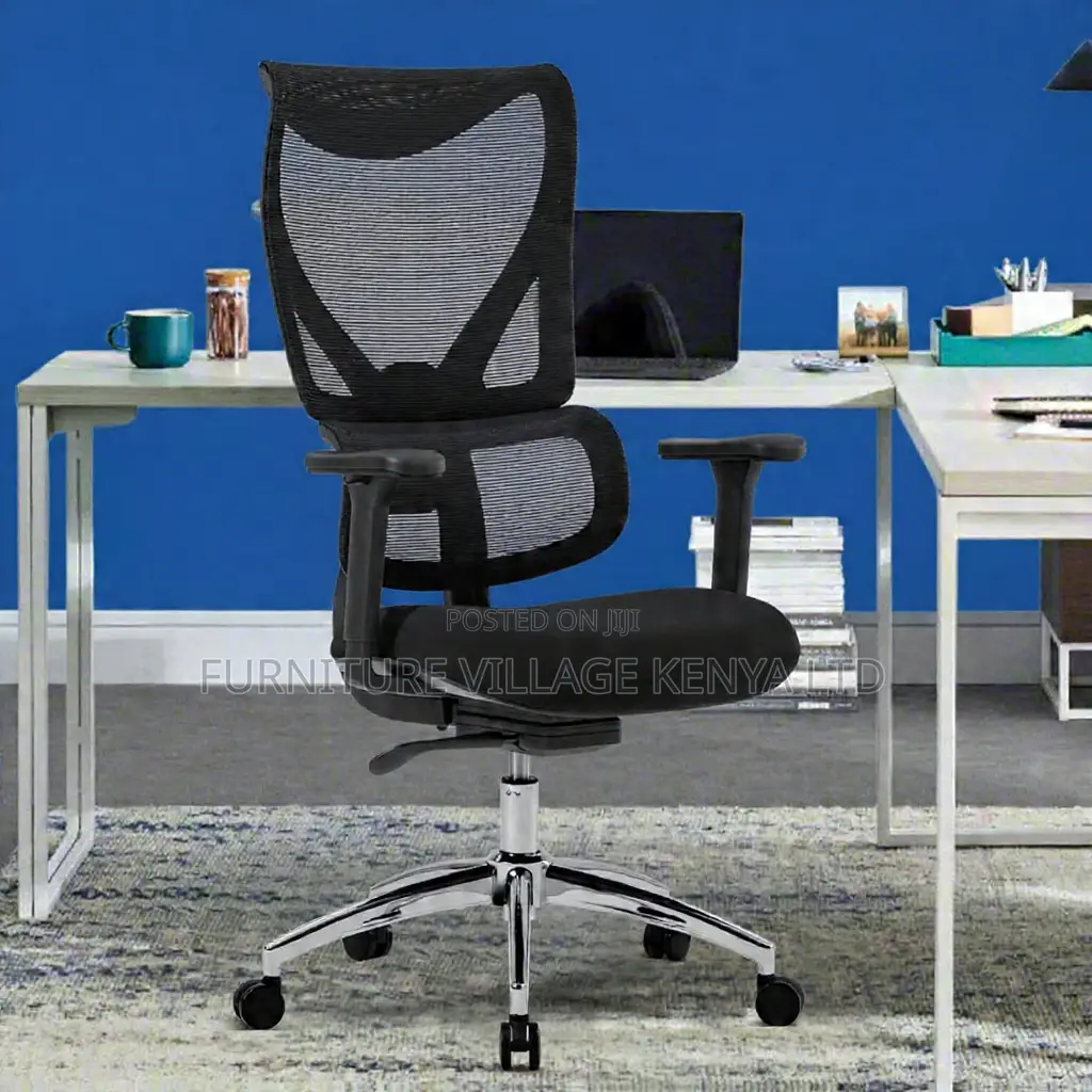 Office Ergonomic Orthopedic Chair.