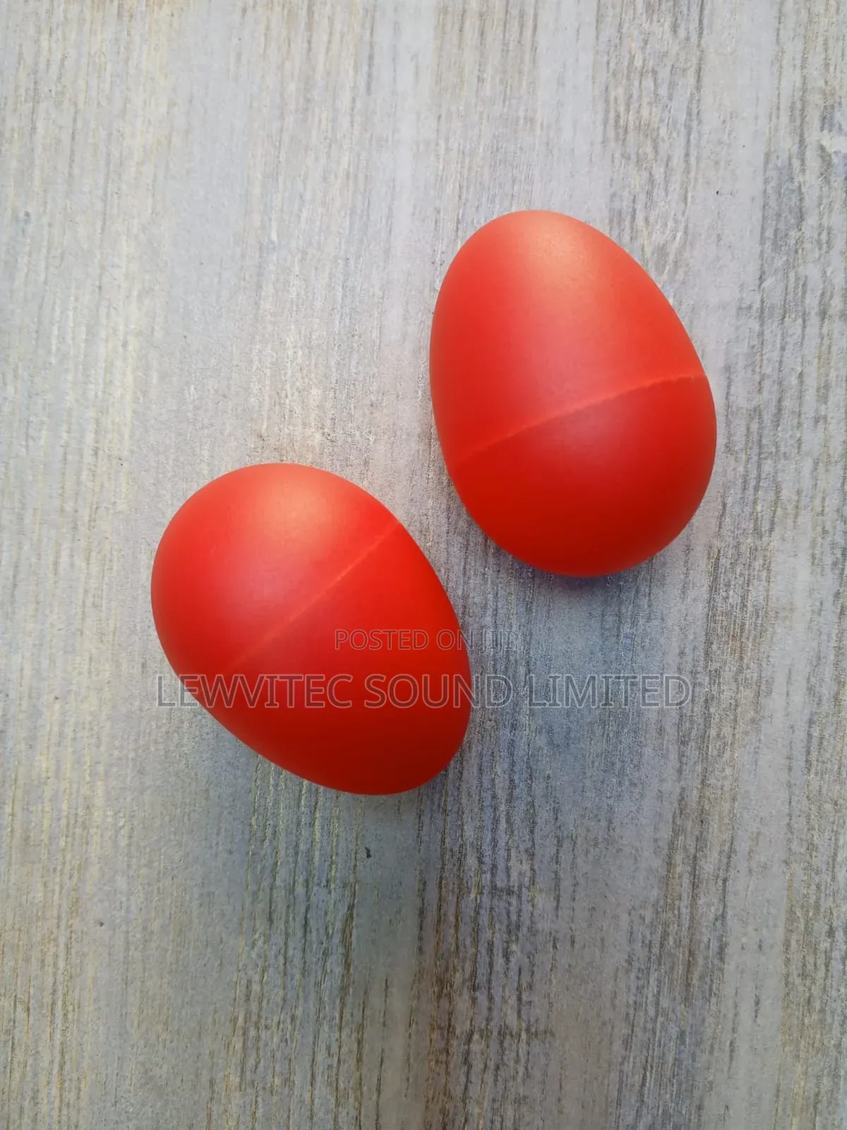 Musical Egg Shakers