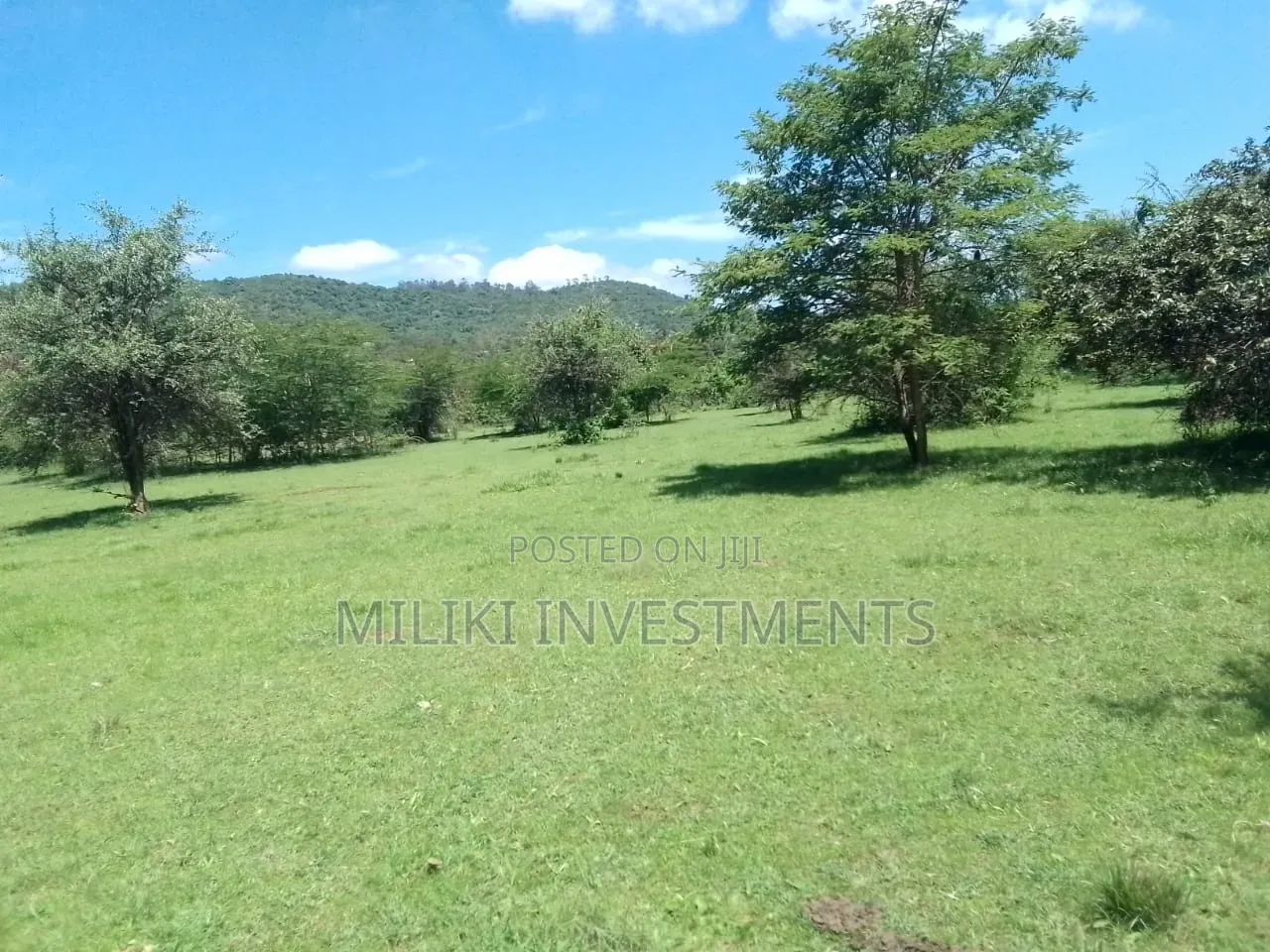 3. 6 Acres on Sale at Makutano