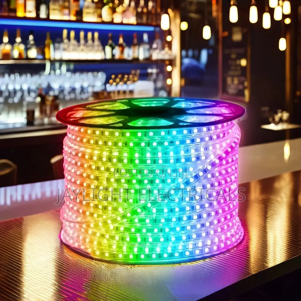Light Strings Outdoor RGB Snakelight Remote Control