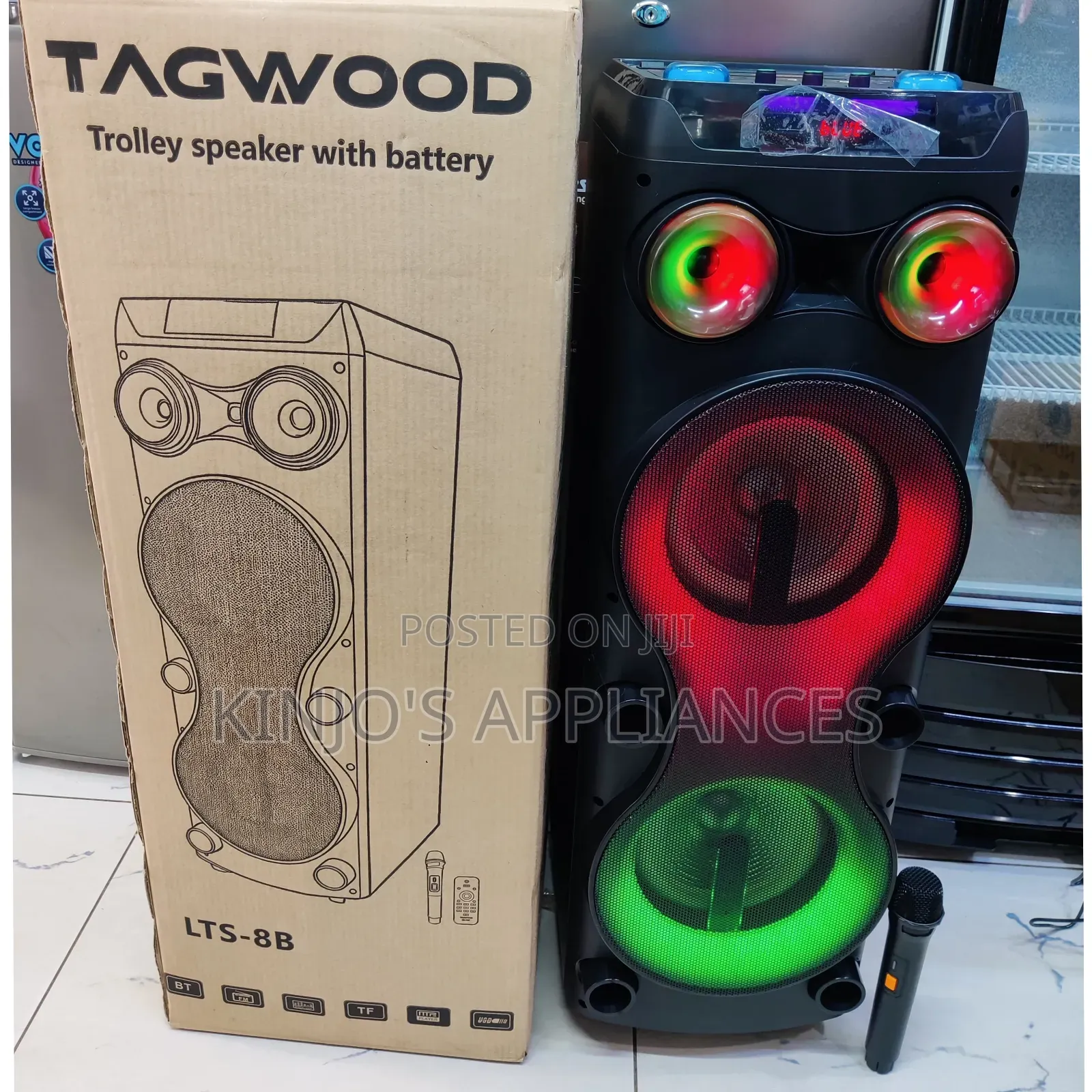 Tagwood Rechargeable Party Box With Microphone and Remote