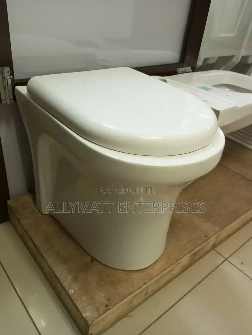 Back to Wall Toilet