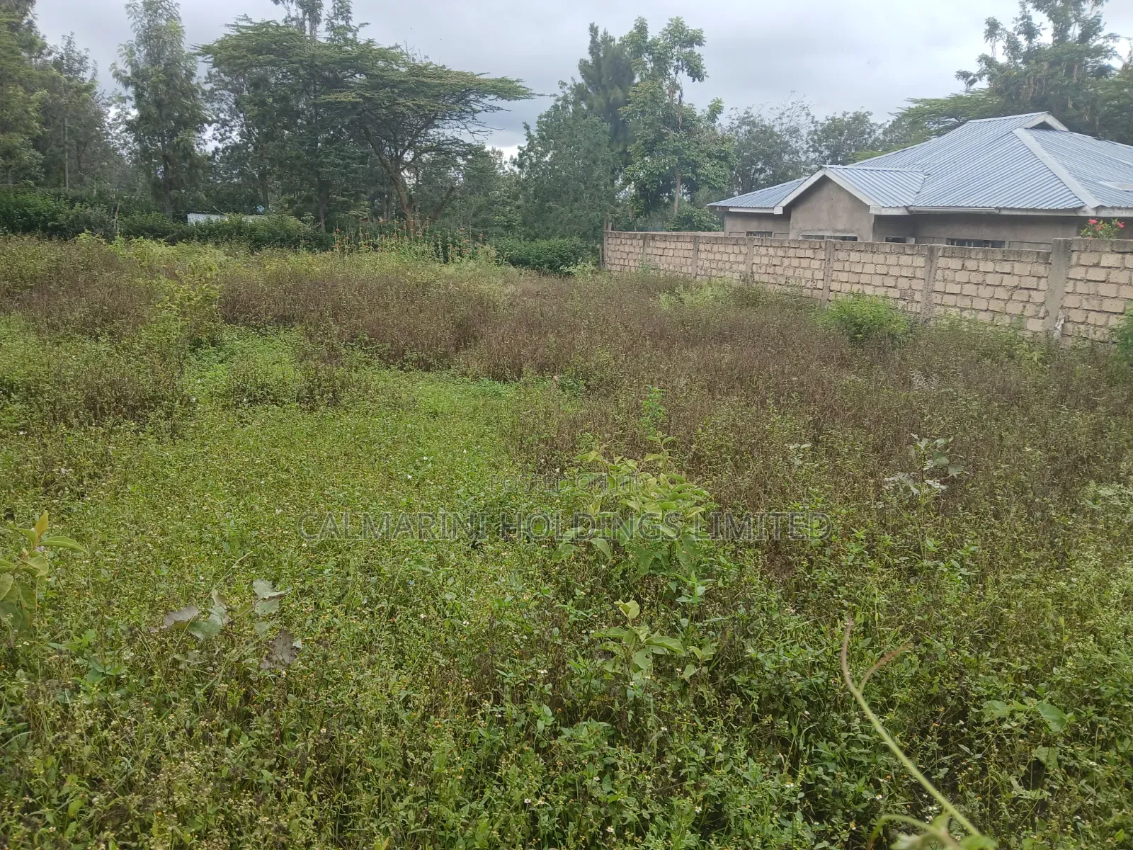 Distressed Quick Sale! Prime 1/8 Acre Plot Off Kunde Rd Kiserian