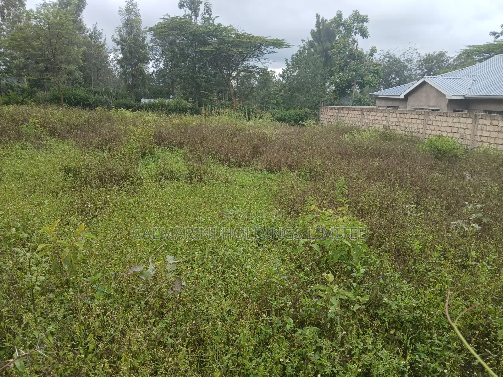 Distressed Quick Sale! Prime 1/8 Acre Plot Off Kunde Rd Kiserian