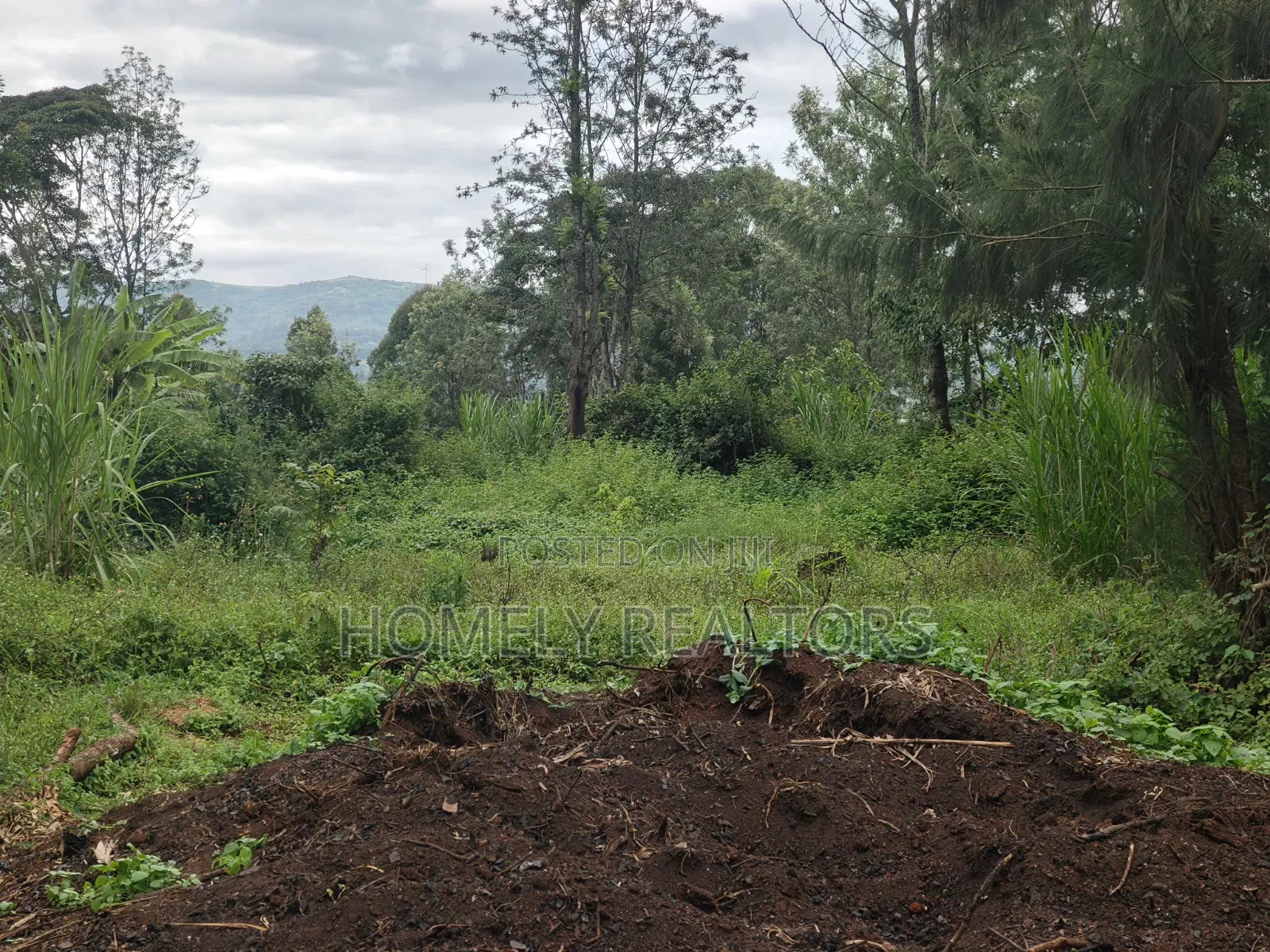 Large Eighth Acre Plot (67*100) for Sale in Ngong, Ol Keri. Red Soil
