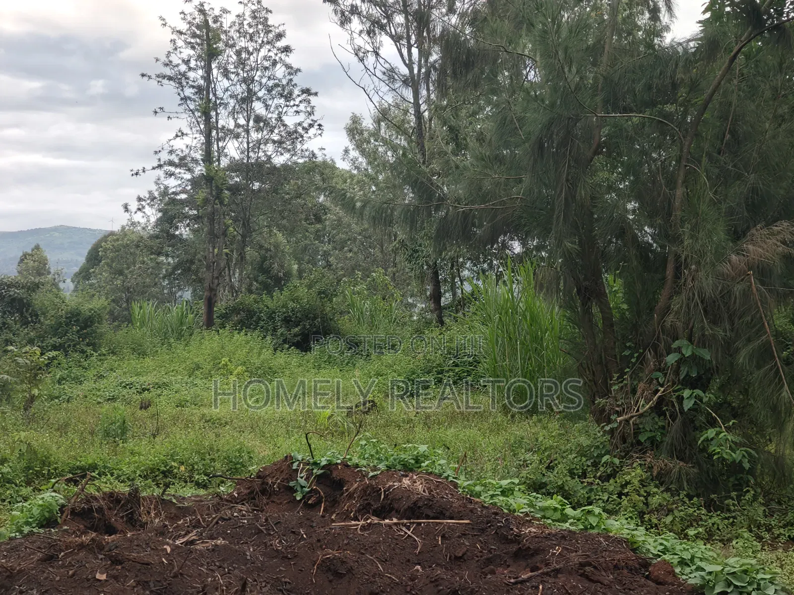 Large Eighth Acre Plot (67*100) for Sale in Ngong, Ol Keri. Red Soil