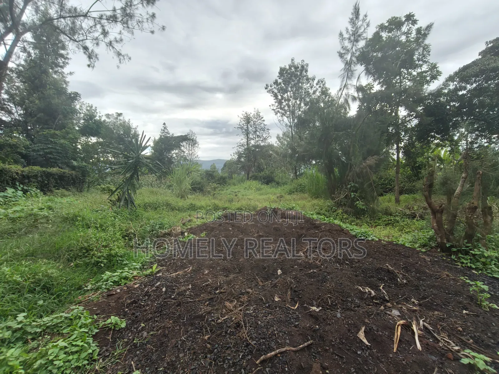 Large Eighth Acre Plot (67*100) for Sale in Ngong, Ol Keri. Red Soil