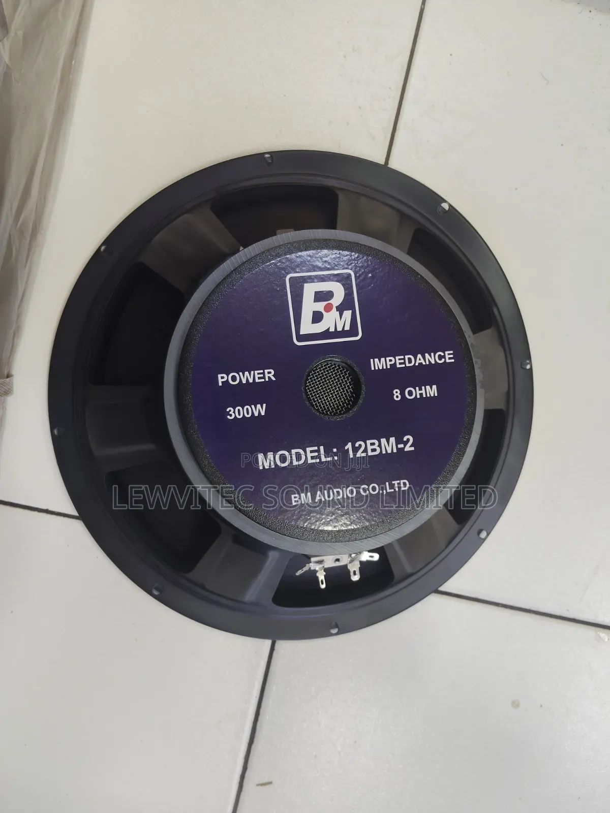 Bm 12 Inch Speaker