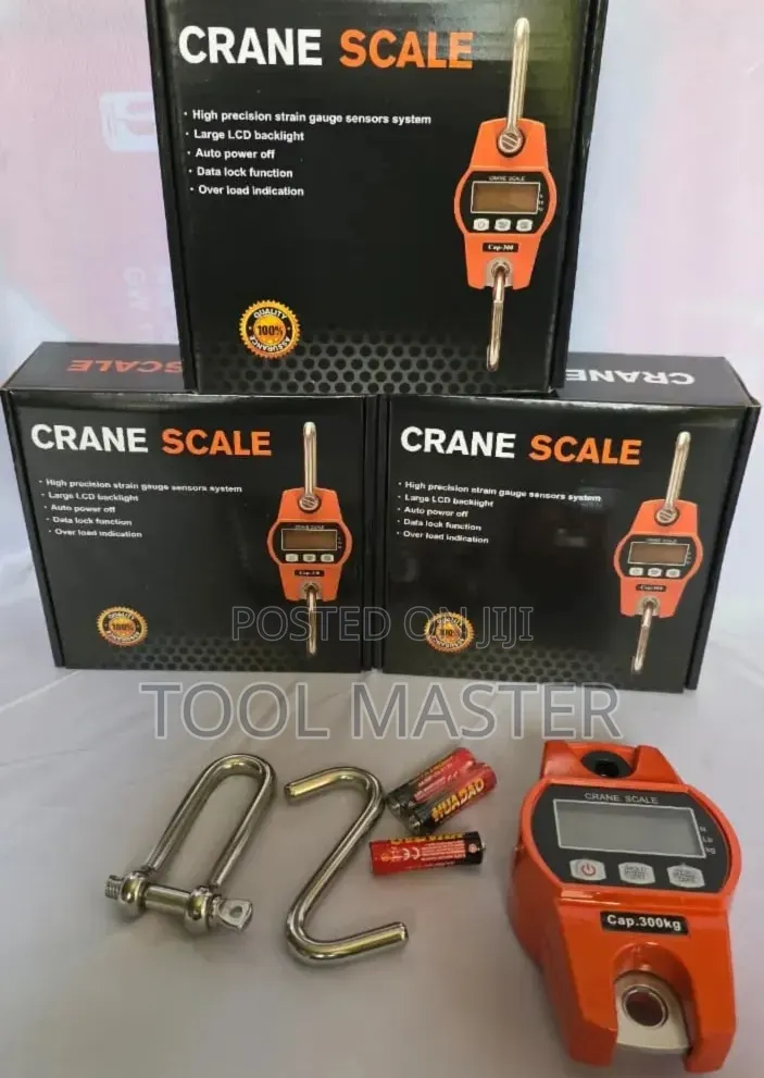 300kg Battery Crane Scale/ 300kg Quality Crane Scale