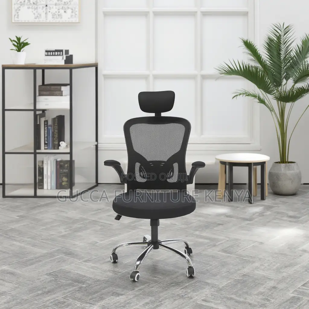 Executive Ergonomic Office Chair.