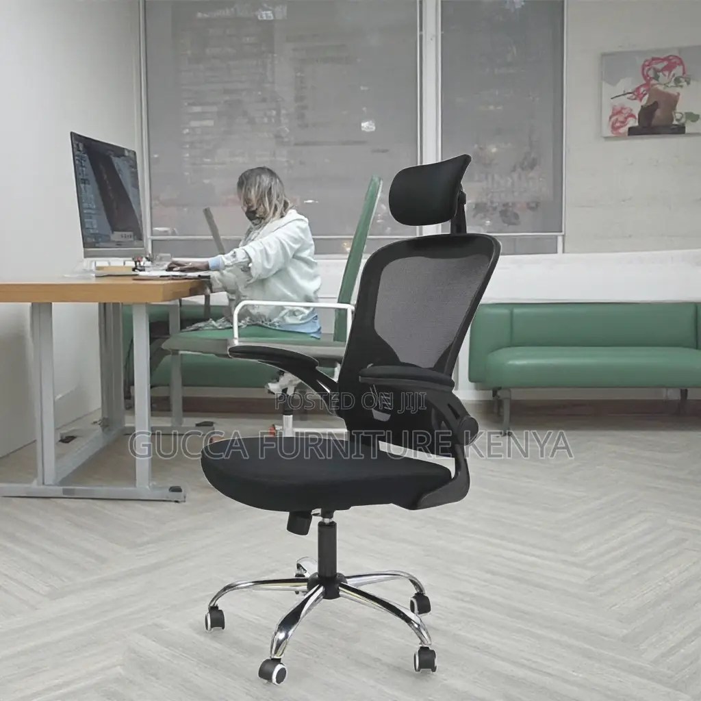 Executive Ergonomic Office Chair.