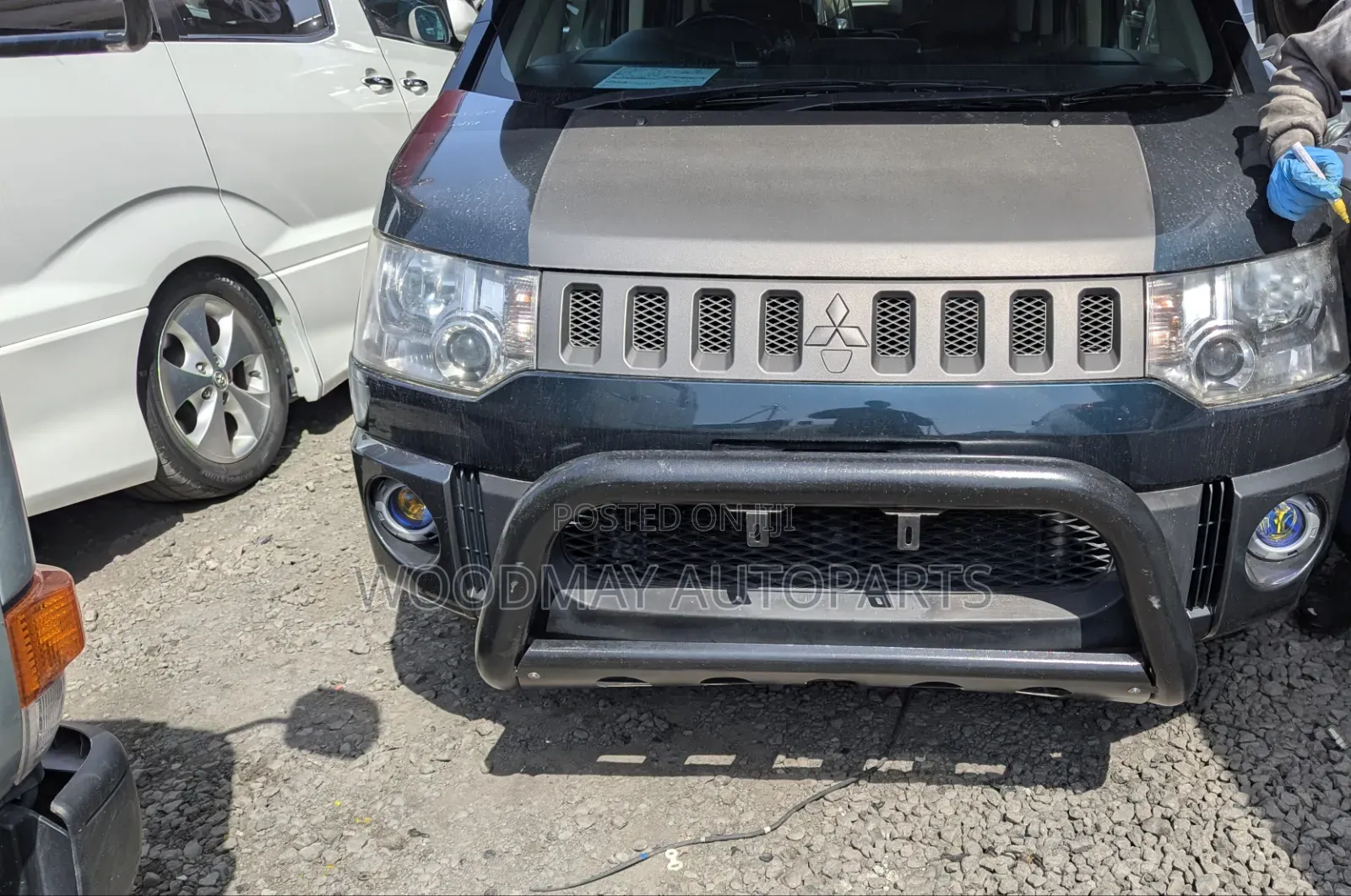 Mitsubishi Delica Bull Bar