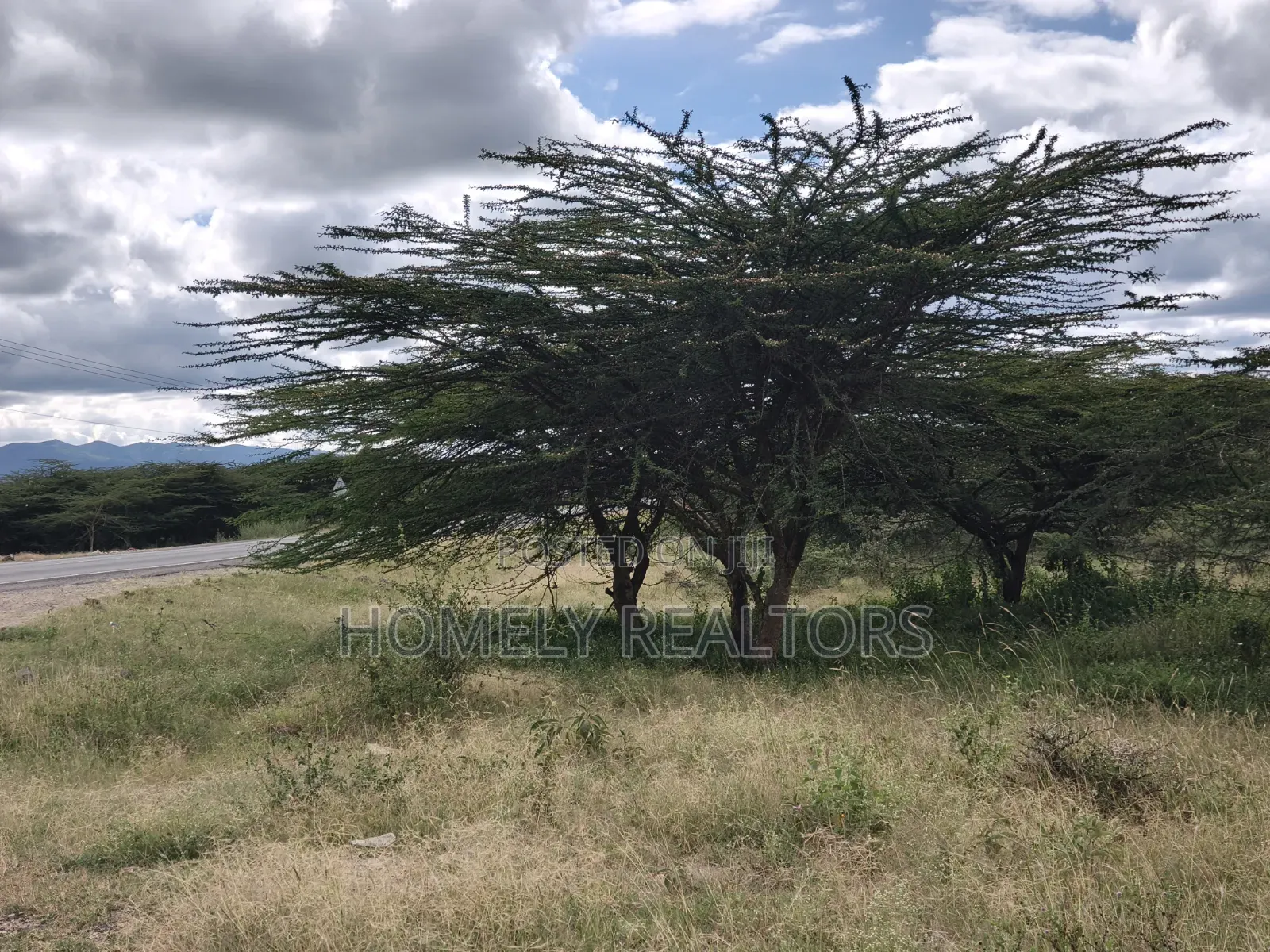 Half Acre Plot for Sale in Dawamu Touching Kiserian-Isinya Tarmac