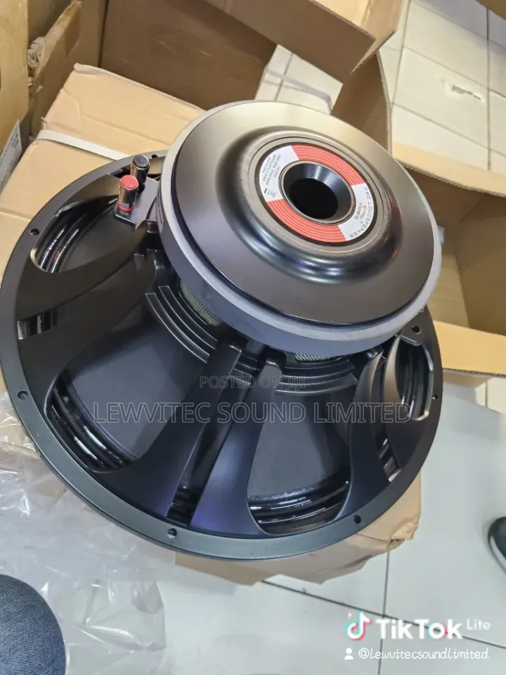 Sound King Naked Speaker 15 Inch