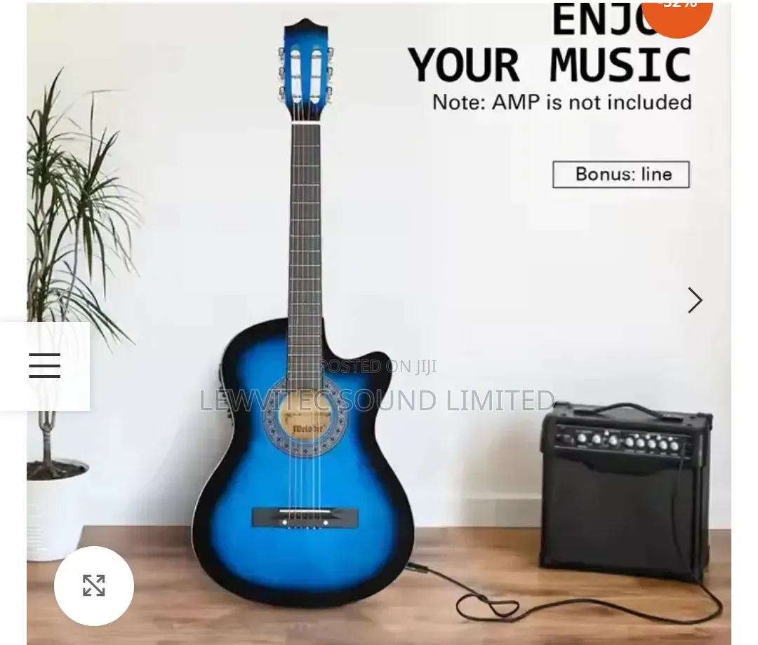 Semi Acoustic Guitar