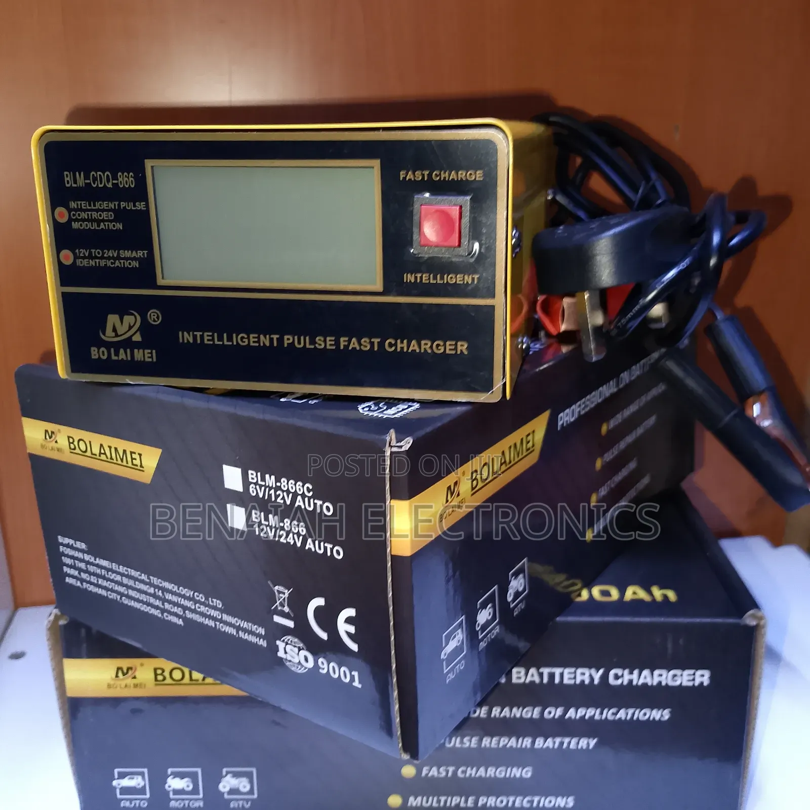 Battery Charger Professional on Battery Charging BLM-866c Atv24v