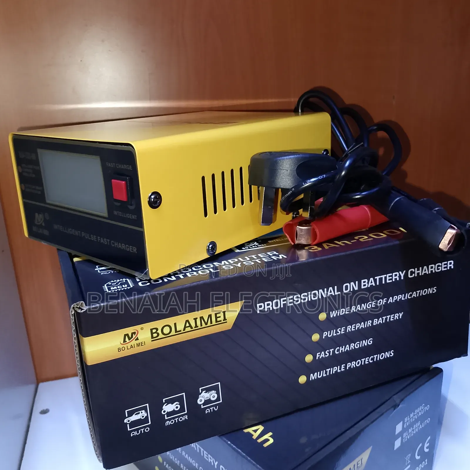 Battery Charger Professional on Battery Charging BLM-866c Atv24v