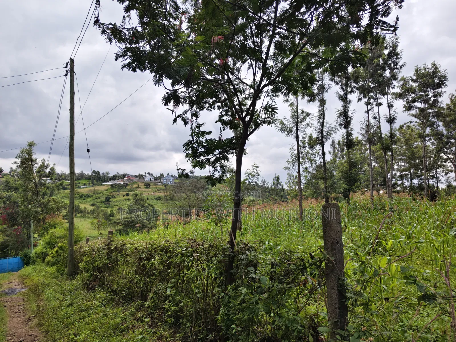 1 Acre for Sale in Merisho, Ngong.