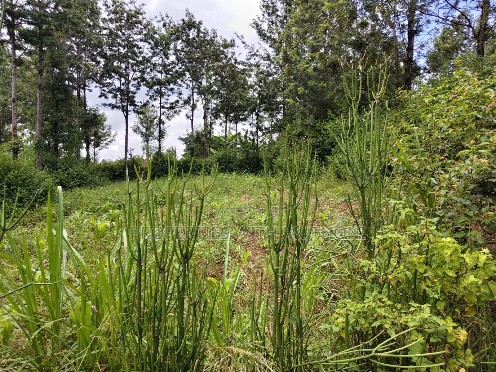 1 Acre for Sale in Merisho, Ngong.