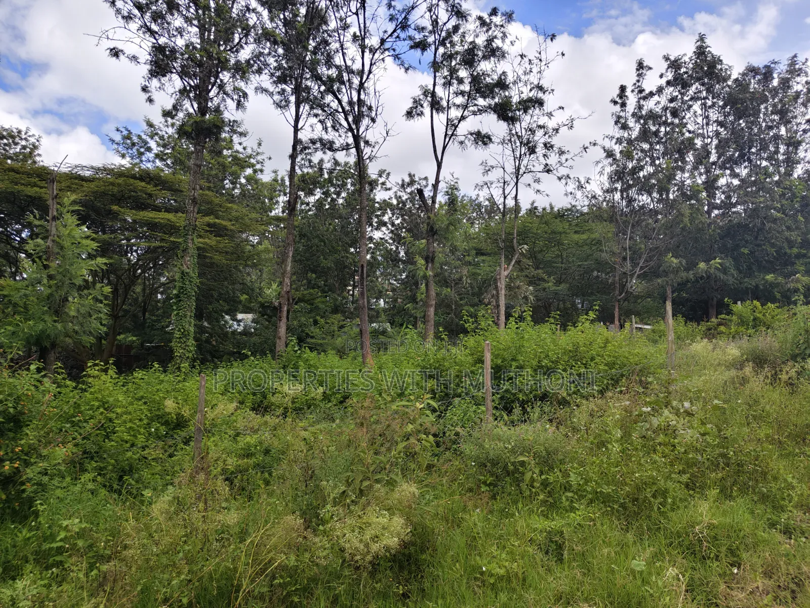 1/8 Acre Plot for Sale in Merisho, Ngong.