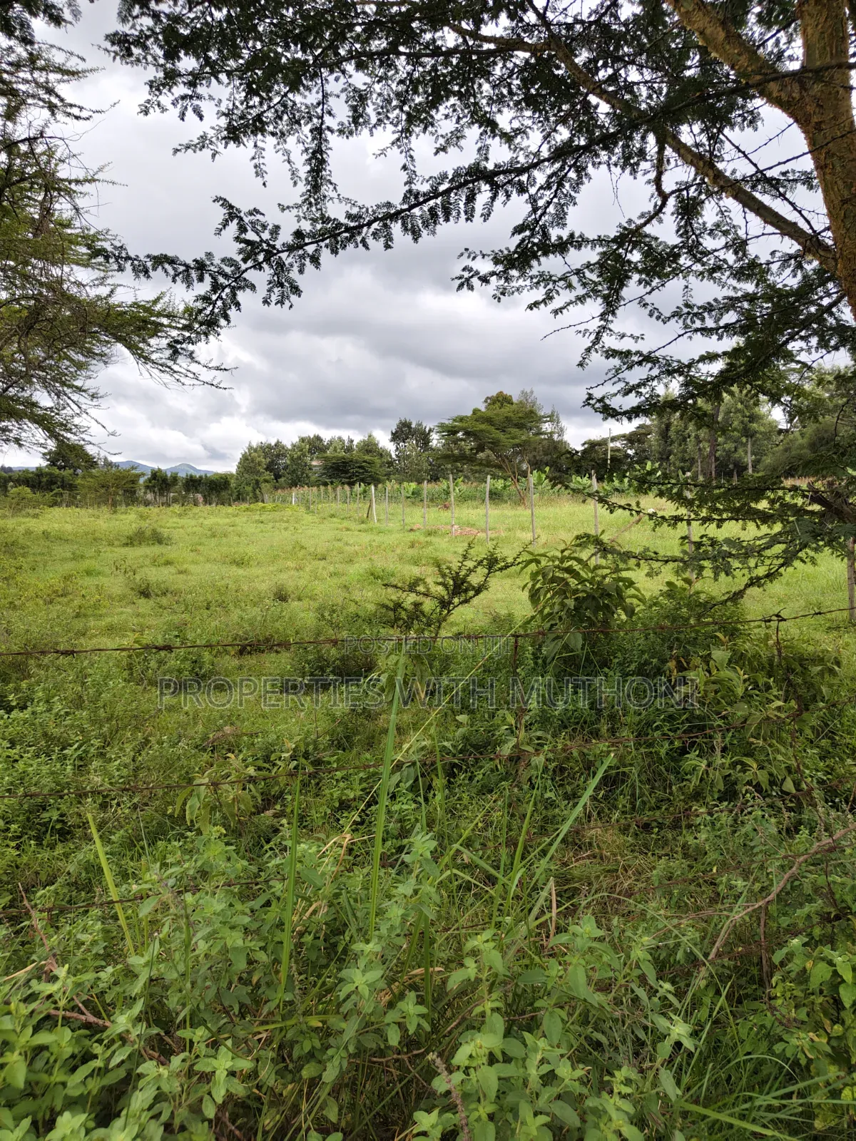 1/8 Acre Plots for Sale in Merisho, Ngong.