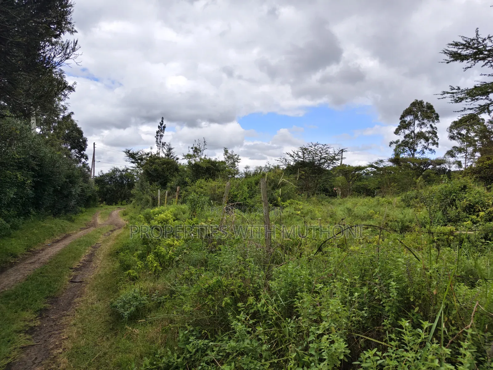 1/8 Acre Plots for Sale in Merisho, Ngong.