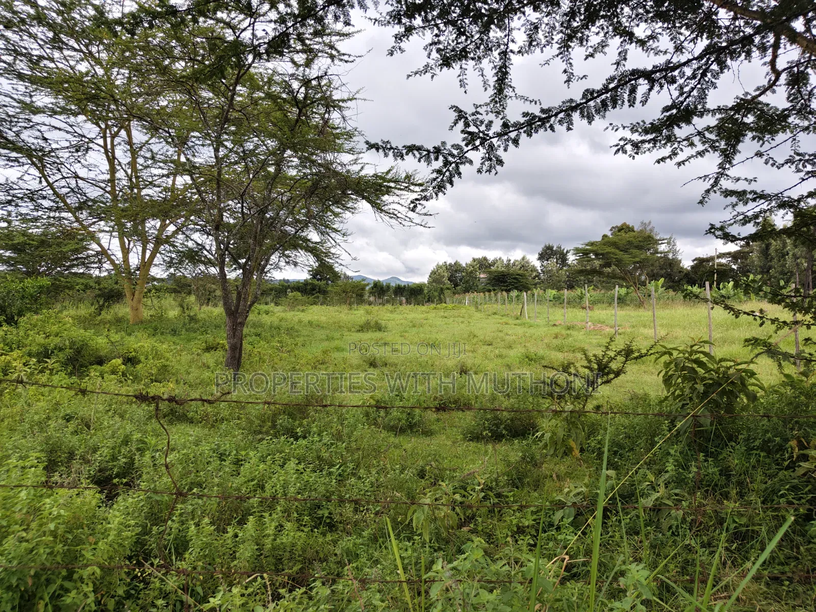 1/8 Acre Plots for Sale in Merisho, Ngong.