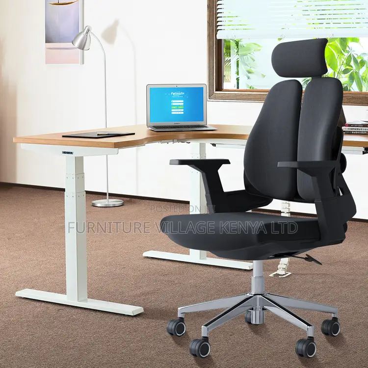 Dual Back Ergonomic Desk Chair