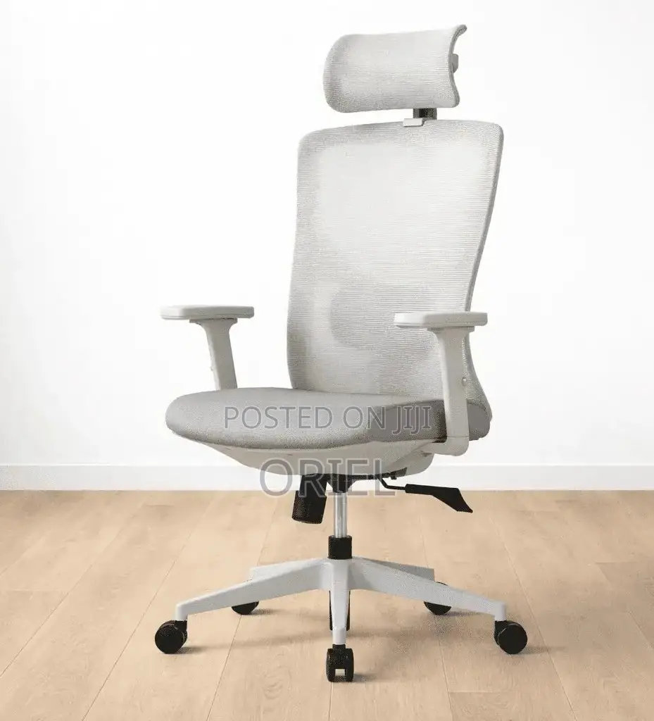 Office Chair : Gray Orthopedic Executive Office Chair