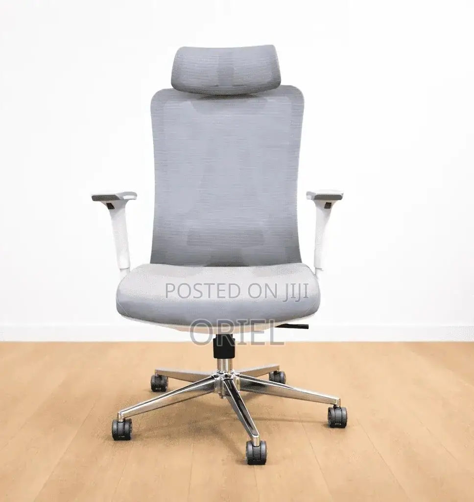 Office Chair : Gray Orthopedic Executive Office Chair