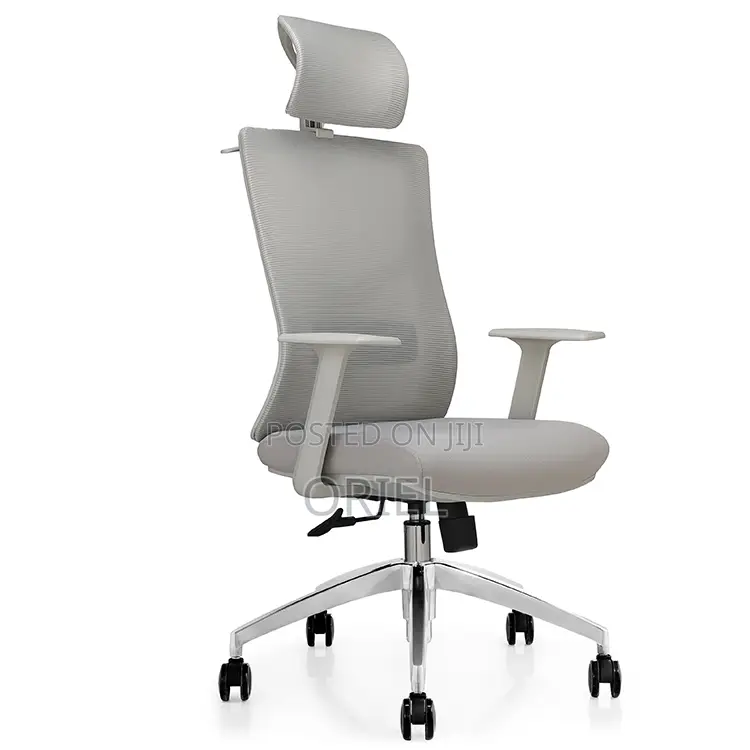 Office Chair : Gray Orthopedic Executive Office Chair