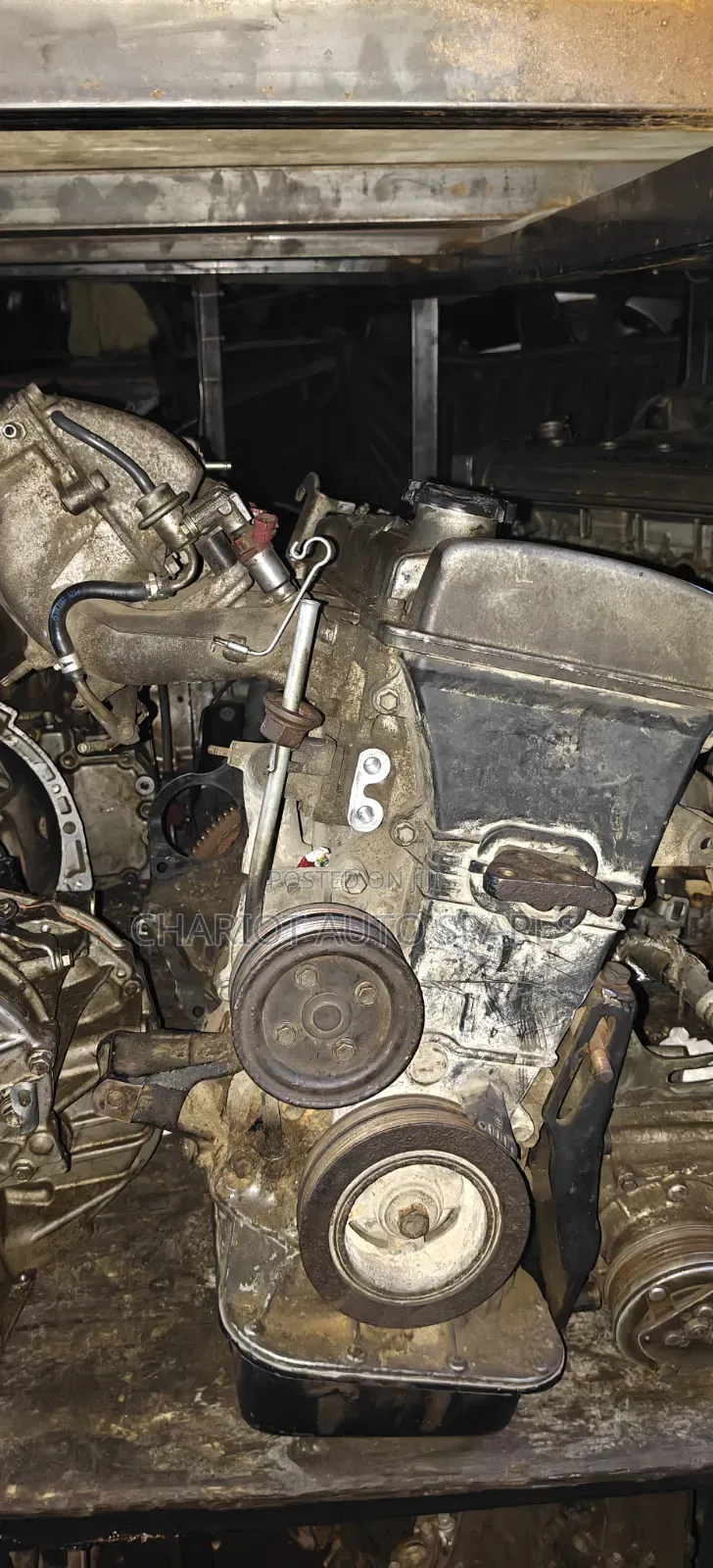7a Slim Engine for Premio Nyoka