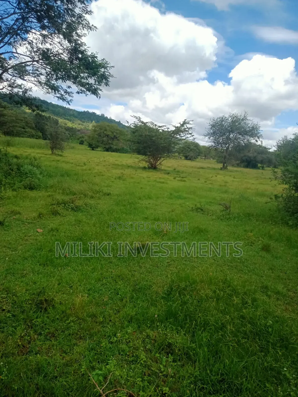 3.6 Acres on Sale at Sagana