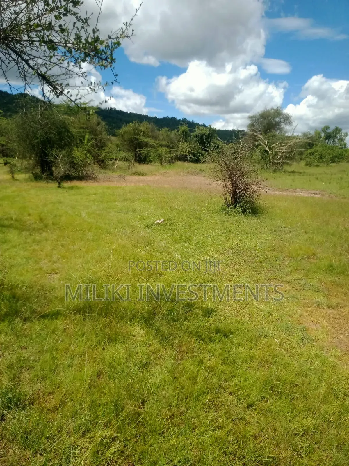 3.6 Acres on Sale at Sagana