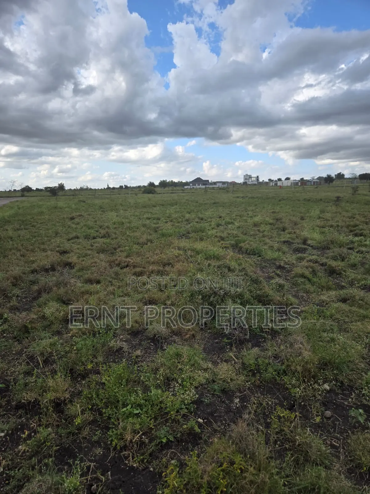 Quick Sale Alert. Two Adjacent 50x100 Plots at Oloika