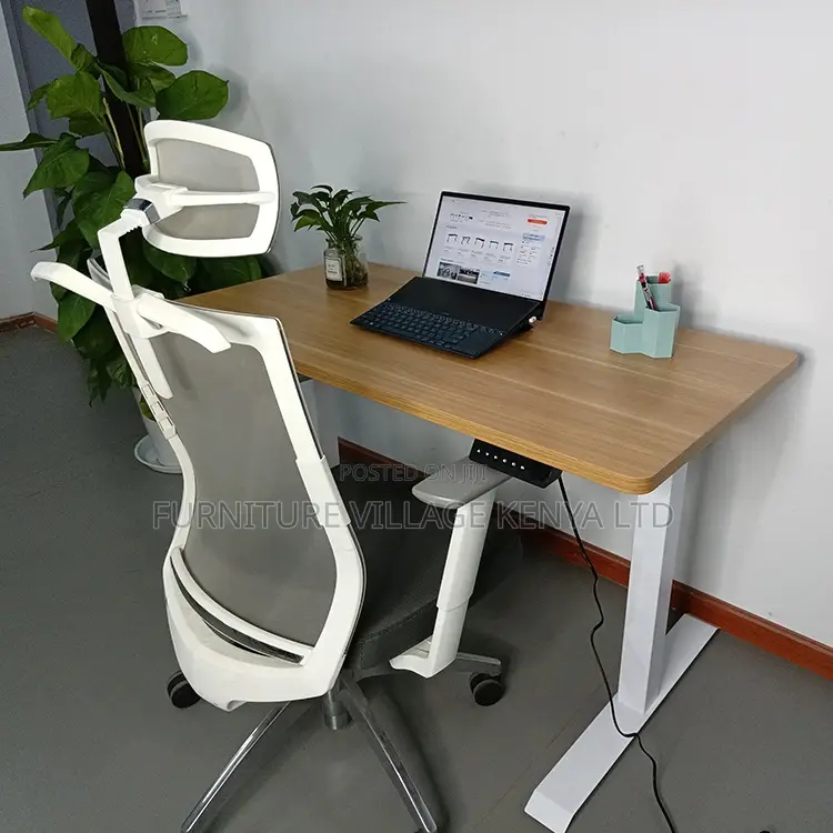 Electric Sit Stand Standing Desk