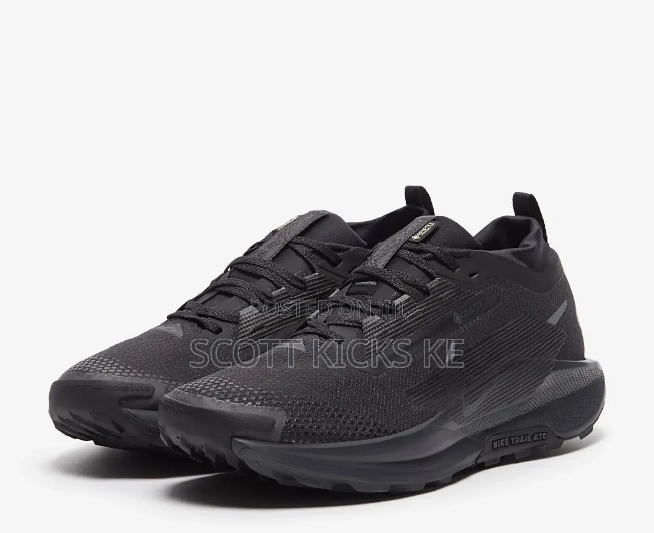 Nike Pegasus Trail 5 Goretex