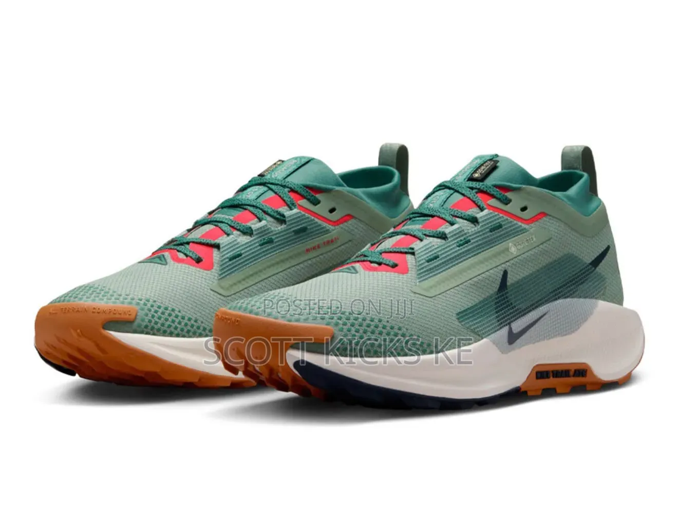 Nike Pegasus Trail 5 Goretex
