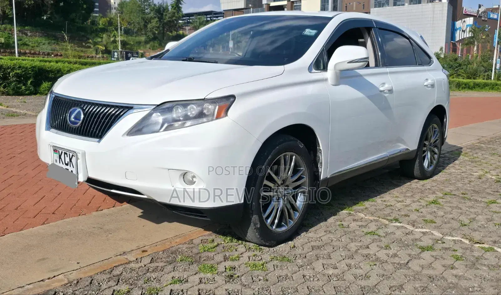 Lexus RX 2010 White
