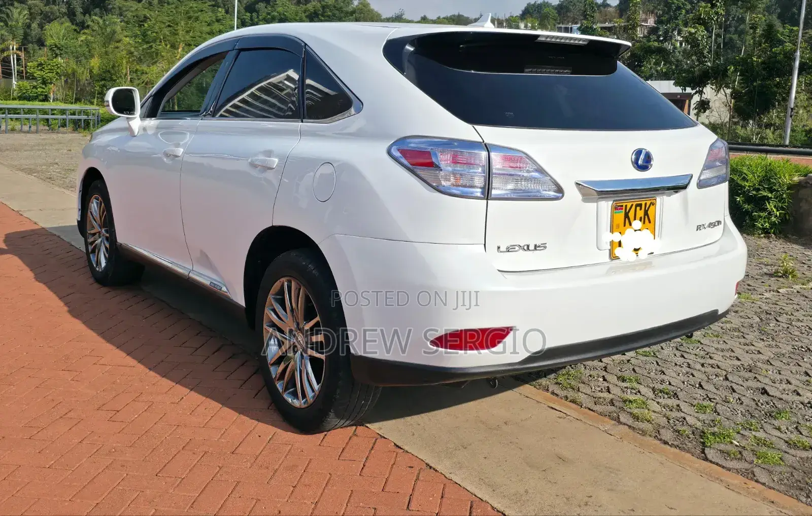 Lexus RX 2010 White