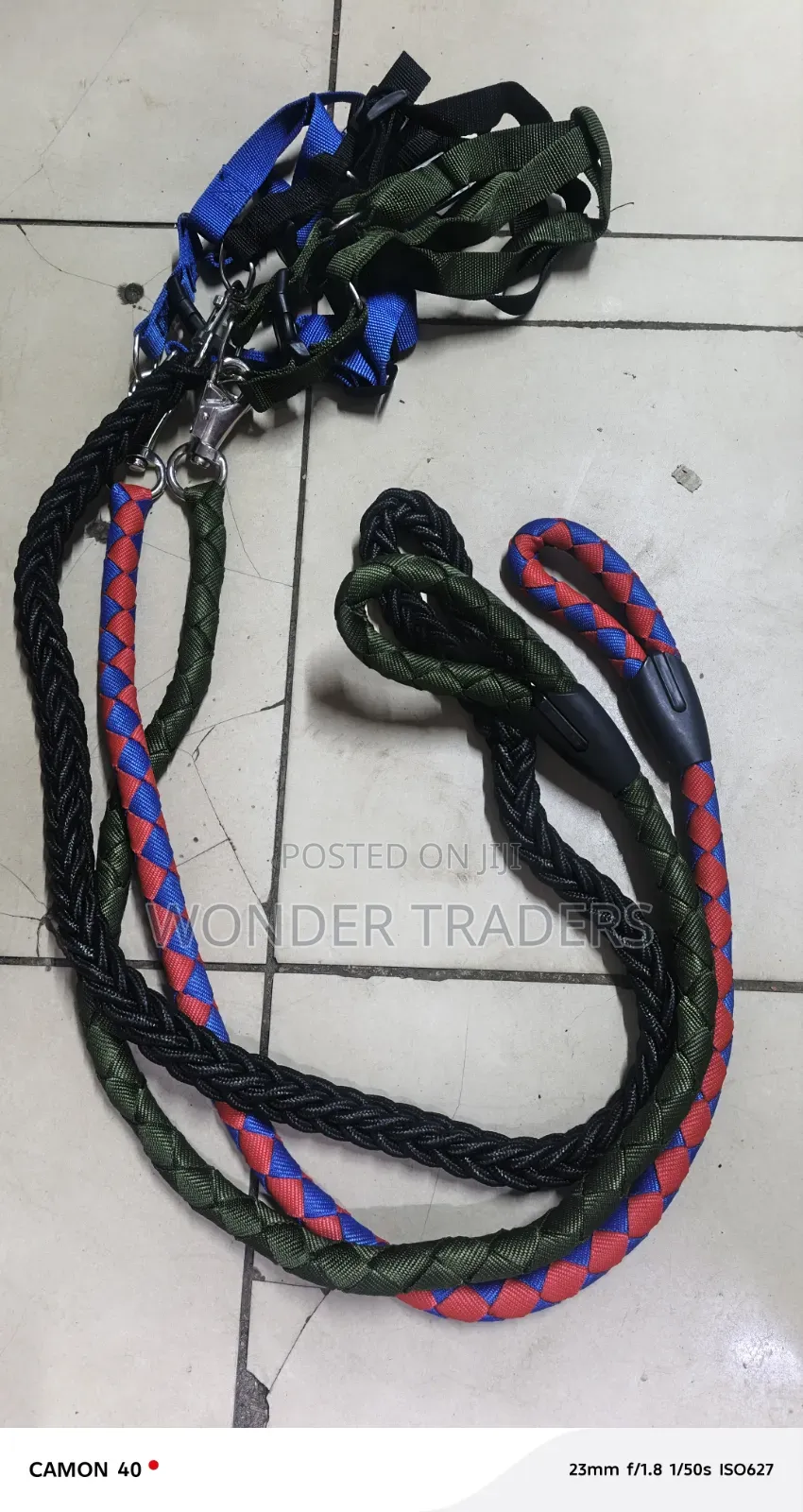 Nylon Dog Harness and Leash